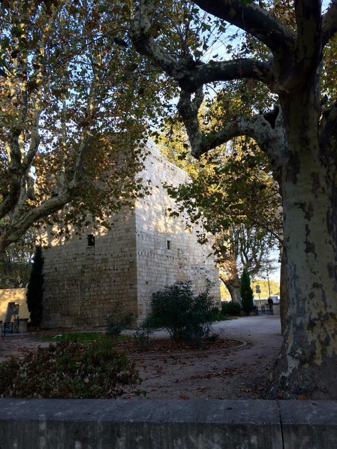 La Maison De Lara Villa Arles Exterior photo